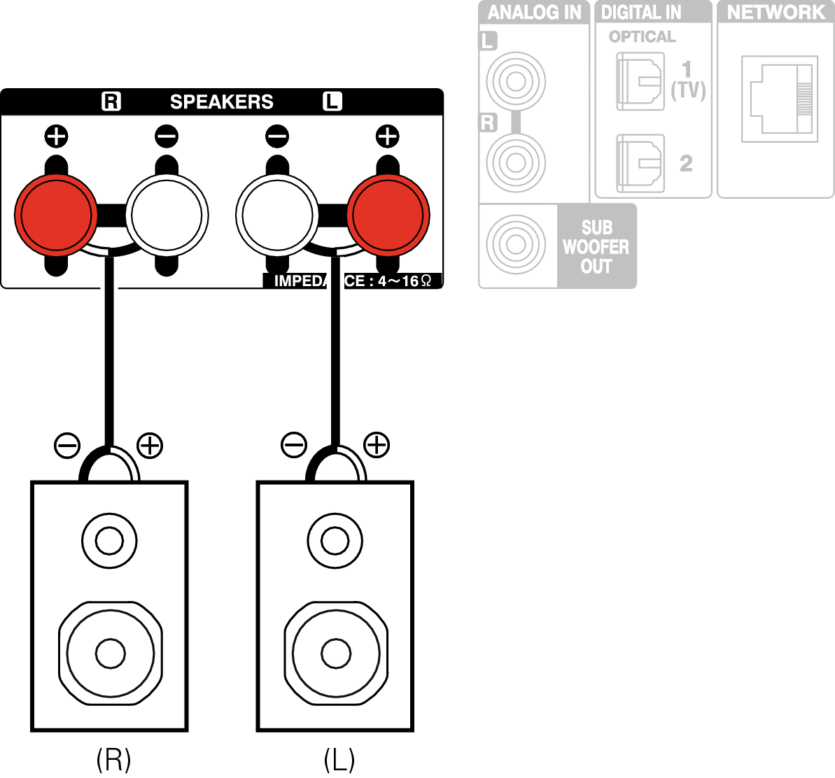 Conne Common SP RCDN10